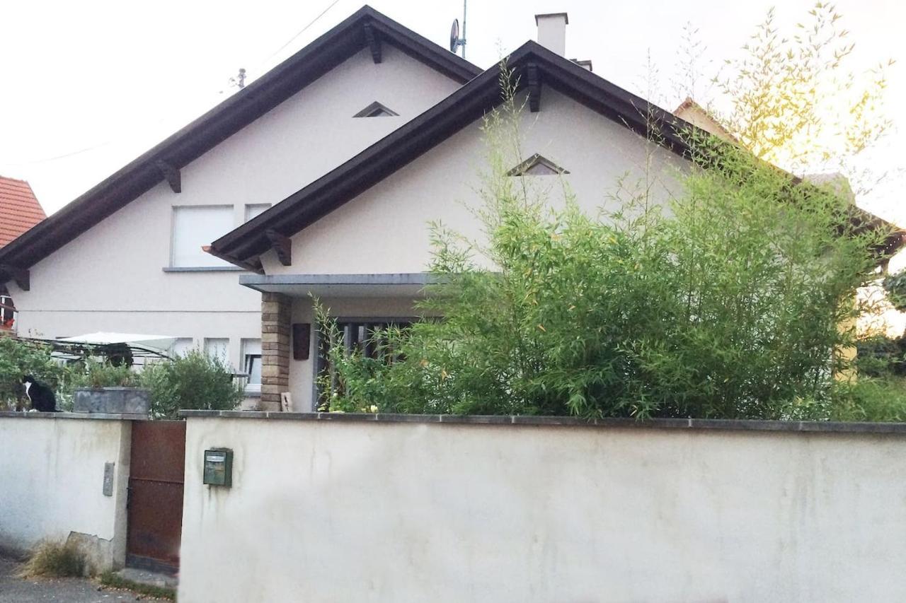Le Pied A Terre Selestadien Selestat Bagian luar foto