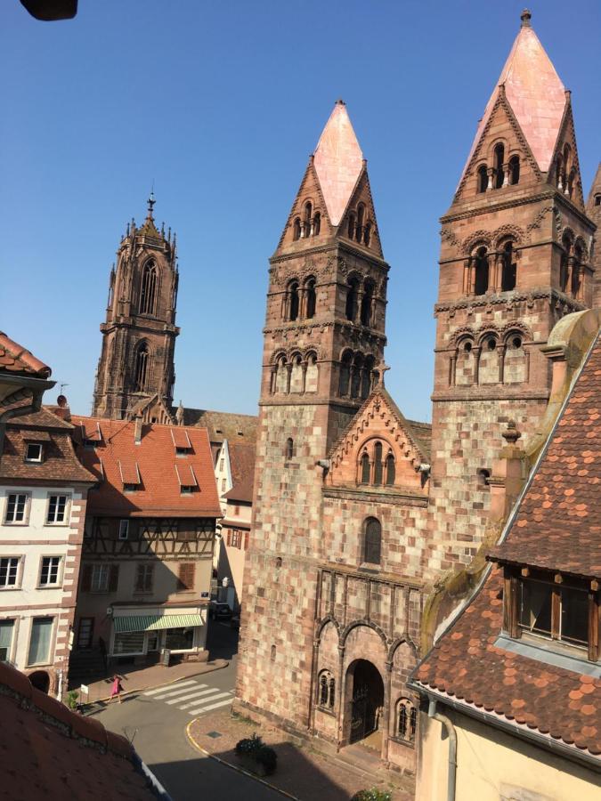 Le Pied A Terre Selestadien Selestat Bagian luar foto
